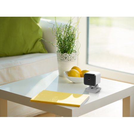 Kangaroo Indoor + Outdoor Camera with 2 Way Audio, On-Demand Livestream & Night Vision