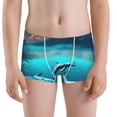 thumbnail image 5 of Yiaed Hawaiian Ship Dolphin Print Boys' Boxer Briefs Cotton Casual Stretch Comfort Boys Boxers - Kids Boxer Briefs Underwear for Boys (6-18)-Medium, 5 of 5