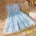 thumbnail image 1 of WEAIXIMIUNG Robe Enfants Fille Tout-Petits Filles Sans Manches Broderie Robe en Maille Danse Fête Princesse Robes Vêtements 120, 1 of 4