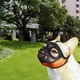 thumbnail image 3 of Bozal para perros Colco de malla transpirable para perros de hocico corto Tamaño S, 3 of 7