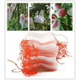 thumbnail image 5 of Bolsas de protección de frutas y verduras de material de malla fina, bolsas de red de barrera contra insectos y plagas para jardín, tela de malla duradera, 50 piezas, 10 x 15 cm, bolsas de protección, 5 of 5
