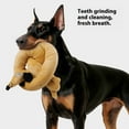 thumbnail image 2 of Sinyiin Dog Squeaky Toy Realistic Full Size Fabric Dachshund Toy With Auditory Feedback, 2 of 9