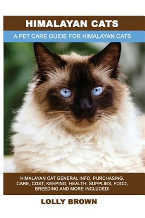 Himalayan Cats : Himalayan Cat General Info, Purchasing, Care, Cost