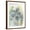 Brown Frame, variant on Art.com Seed Pod Composition I Art Print by Naomi McCavitt, 12" x 16"