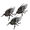 C, variant on Moocorvic 3 Pcs Realistic Beetle Wind-up with Interactive Head and Tail, Movement Mechanical Insect Models for Educational Play Indoor Outdoor Use April Fool's Day Favors and Bug