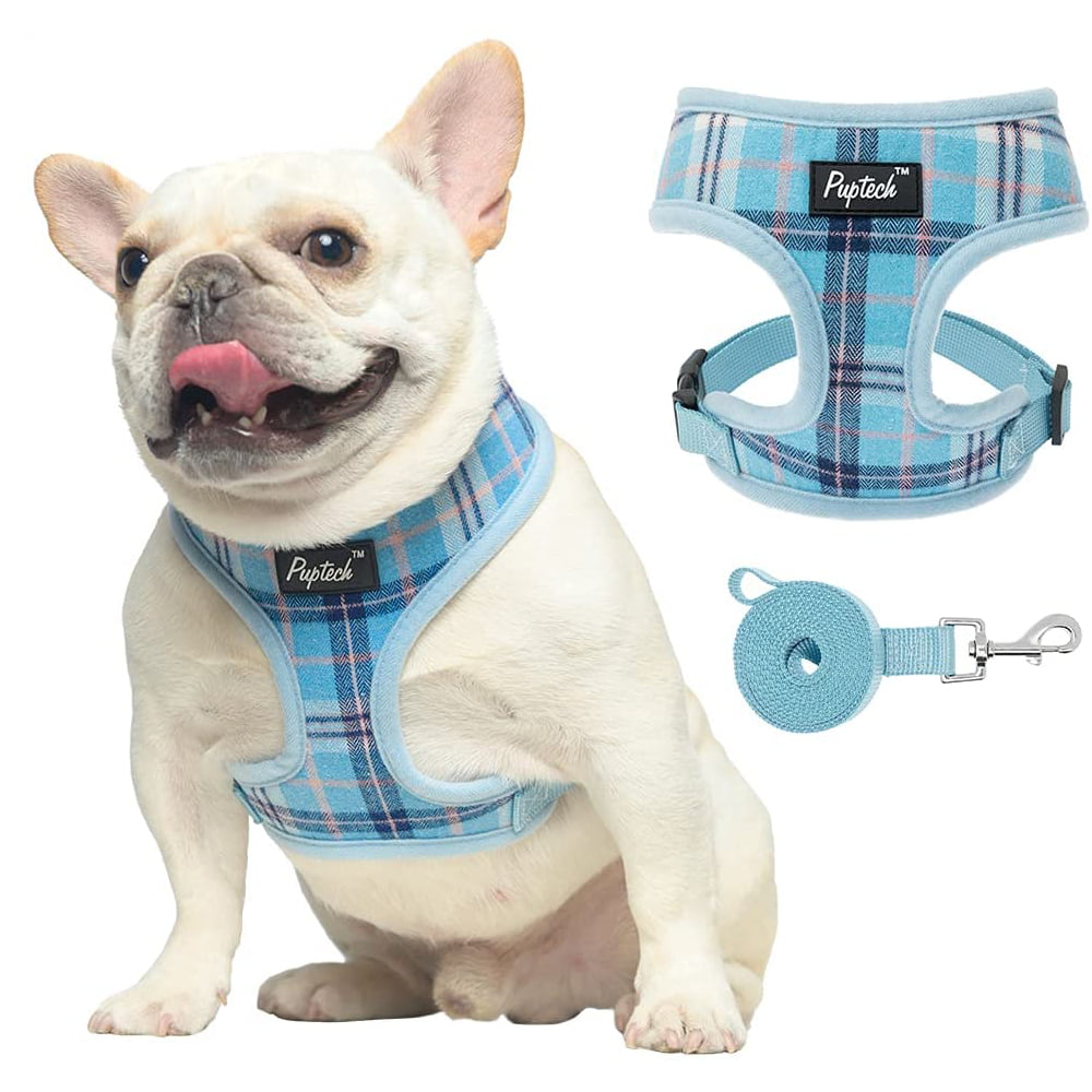 Pet Padded Walking Vest Blue Extra Small PUPTECK Soft Mesh Dog Harness with Leash Plaid Adjustable Puppy No Pull Harnesses