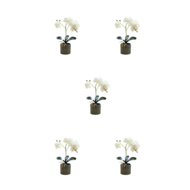 Bearachild Flor de orquídea artificial bonsái maceta Phalaenopsis maceta decoración del hogar Color brillante estatuilla falsa interior blanco Type2 NO2