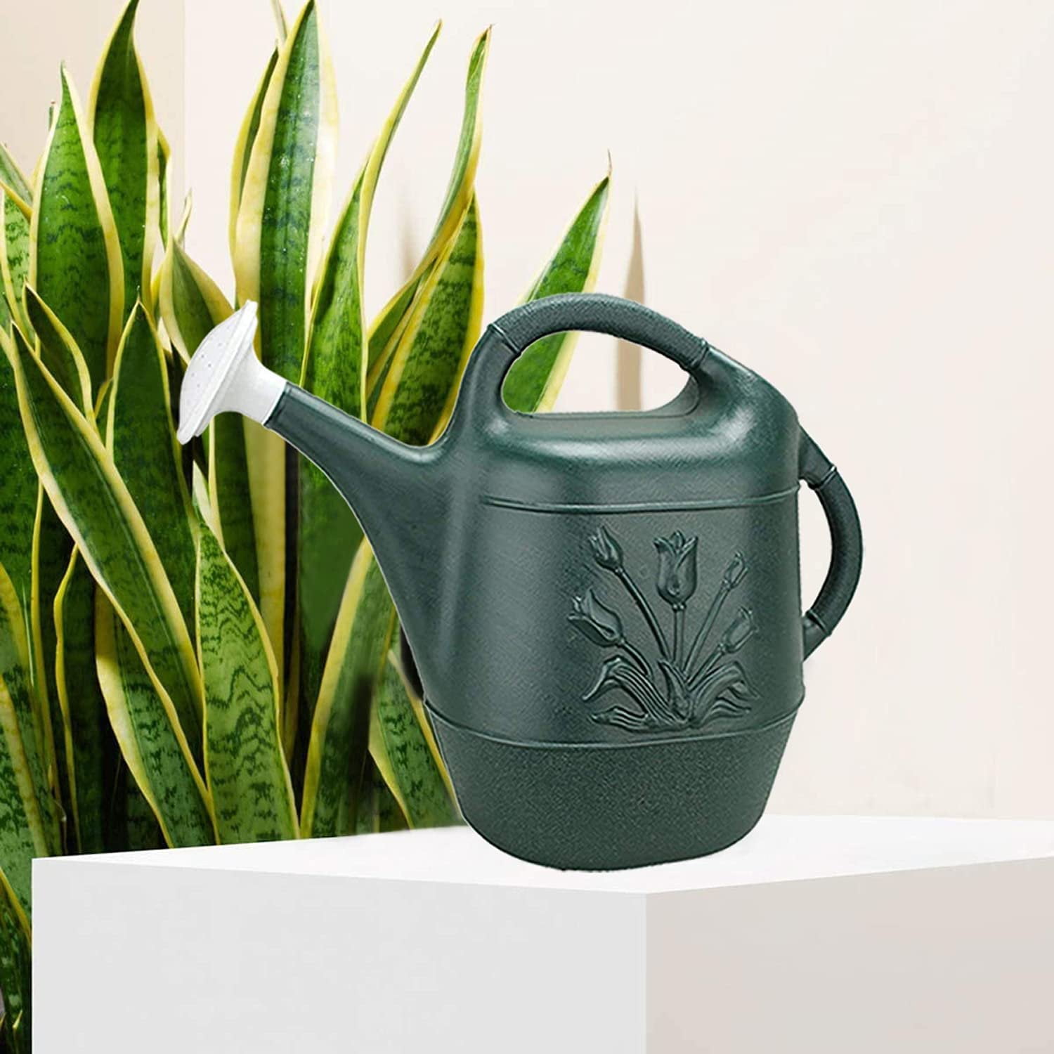 Novelty 2 Gallon Watering Can - Hunter Green 1/Pkg Pkg/6 — Residential Use, Standard Application
