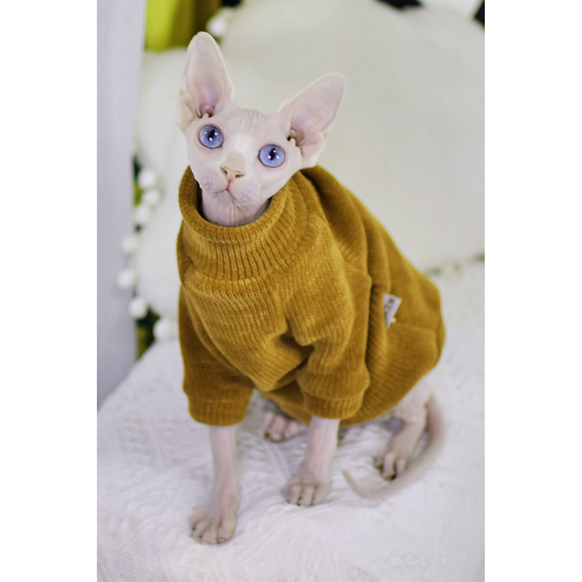 Elegant Warm Sphynx Cat Sweater Fashion Kitty Hairless Bald Cat