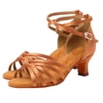 thumbnail image 3 of FRSASU Women's Latin Dance Shoes Satin Professional Ballroom Salsa Practice Performance Dance Shoes Brown, 3 of 6