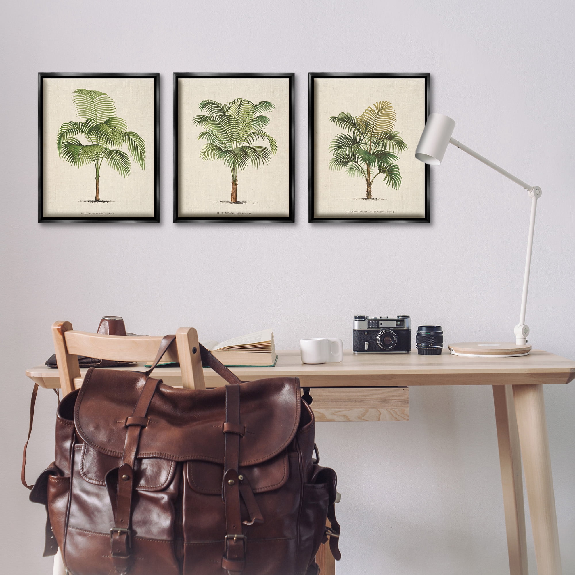Stupell Industries Les Palmiers Botanical Trio Botanical & Floral Painting Black Floater Framed Canvas Art Print Wall Art, 17 x 21, Set of 3