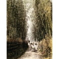 thumbnail image 2 of Japan Bamboo Forest. Na Young Girl In A Rickshaw Travelling Through A Bamboo Forest At Kyoto Japan. Hand-Colored, 2 of 4
