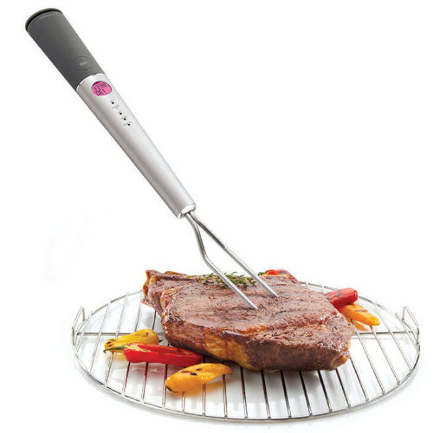 Brookstone - Chef's Fork With Thermometer Meat Thermometer Smoking