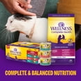 thumbnail image 7 of Wellness Healthly Indulgence Shreds Adult Wet Cat Food, Natural, Protein-Rich, Grain Free, 3 Ounce Pouch, 24 Pack, (Tuna & Shrimp), 7 of 7