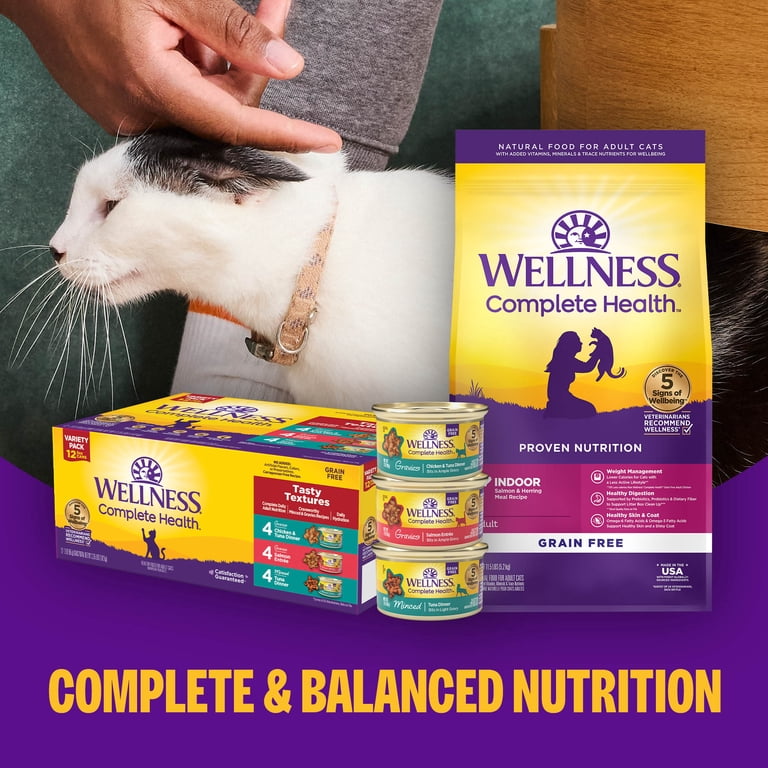 Chicken Healthiest Canned Cat Food For Indoor Cats Friskies Cat Food,  Indoor, Pate, Chicken Dinner With