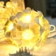 thumbnail image 2 of Guirnalda De Luces Led Con Flores De Frangipani, Luces Vintage, Luces De Hadas, Boda, Fiesta, Hogar, Batería, Luces Led, 2 of 5