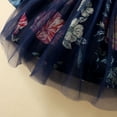thumbnail image 5 of Girls Dress Kids Floral Long Sleeve Mesh Gown Tulle Dresses Hairband Baby Girl Dress Blue 9 Months-12 Months, 5 of 7
