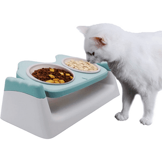 Elevated Dog Feeder Bowl No Spill Dog Water Bowls Removable - Temu