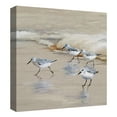 thumbnail image 4 of Masterpiece Art Gallery Sandpiper Beach I Amber By Studio Arts Canvas Art Print 20" x 20", 4 of 4