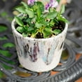 thumbnail image 5 of Colorful Terracotta Pot, 5 of 12