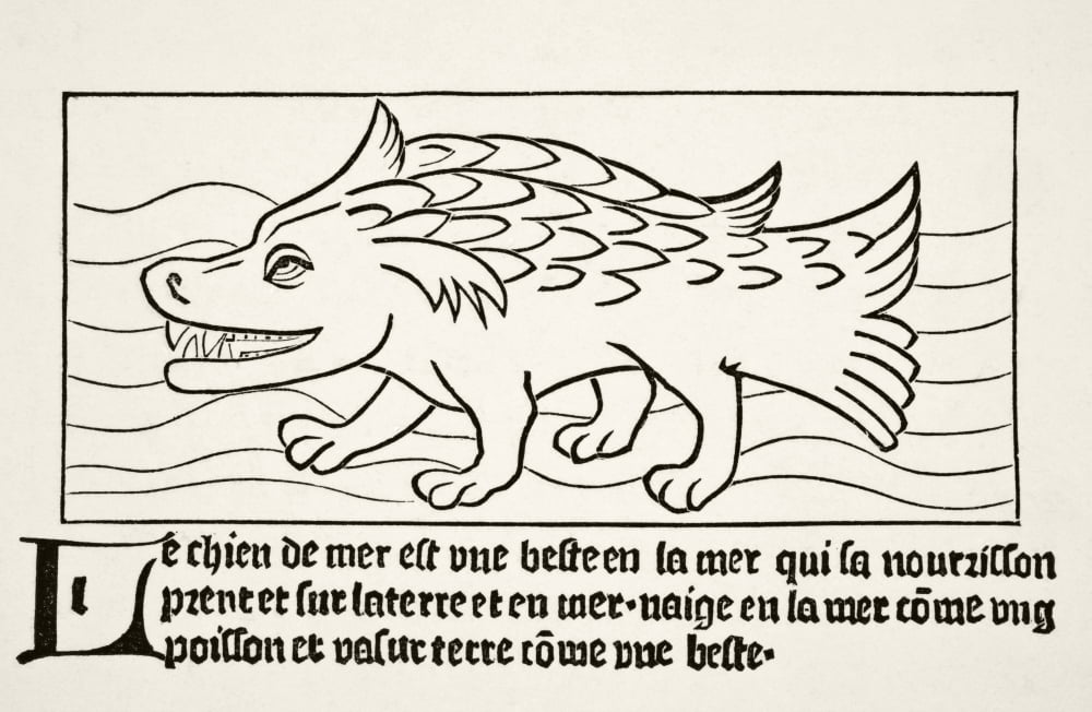The Sea-Dog After A Wood Engraving In Dyalogue Des Creatures Published 1482 From Science And Literature In The Middle Ages By Paul Lacroix Published London 1878 Canvas Art - Ken Welsh Design Pics (36