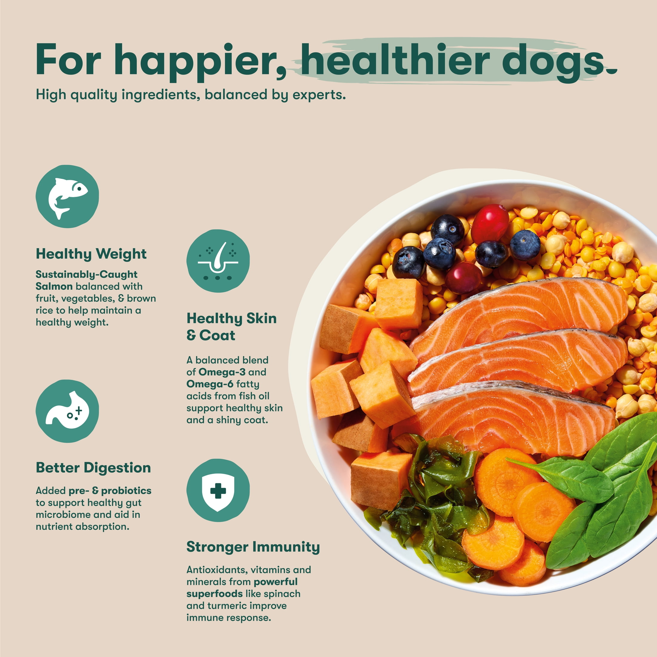 (4 pack) Jinx Small Breed Sweet Potato, & Carrot Dry Dog Food, Grain Free, 4lb. Bag