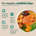 thumbnail image 4 of Jinx Small Breed Sweet Potato, & Carrot Dry Dog Food, Grain Free, 4lb. Bag, 4 of 13