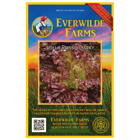 Everwilde Farms - 1000 Lolla Rosso Darky Leaf Lettuce Seeds - Gold Vault Jumbo Bulk Seed Packet