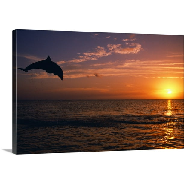 picture Dolphin Rock Painting Ideas Sunset walmart