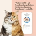 thumbnail image 2 of Wisdom Panel Complete Health and Ancestry for Cats, Cat DNA Test Kit, 2 of 6