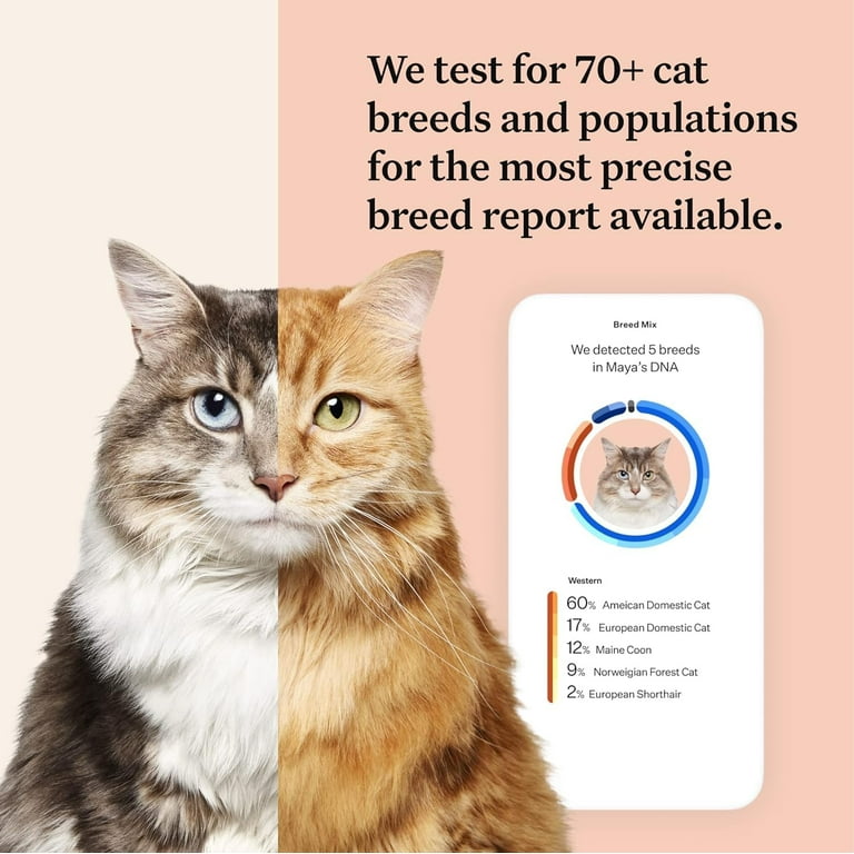 Wisdom Panel Complete Health and Ancestry for Cats, Cat DNA Test