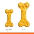 thumbnail image 5 of Nylabone Power Chew Cheese Bone Dog Chew Toy Medium (1 Count), 5 of 16
