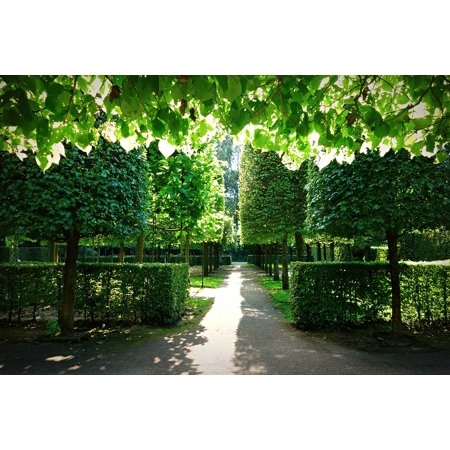 Peel-n-Stick Poster of Symmetry Dutch Garden Formal Garden Design Garden Poster 24x16 Adhesive ... Peel-n-Stick Poster of Symmetry Dutch Garden Formal Garden Design Garden Poster 24x16 Adhesive ... on Dutch Garden Design
id=94001
