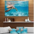 thumbnail image 3 of Designart 'Large Hawksbill Sea Turtle' Metal Wall Art, 3 of 3