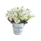 thumbnail image 1 of 1PC Simulation Daisy Bonsai Decor Lifelike Daisy Hemp Rope Iron Bucket Decor Realistic Fake Flower Crafts Decor Retro Potted Plants Decor with Flowerp, 1 of 1