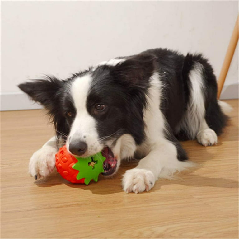 Nontoxic Durable Dog IQ Puzzle Chew Toys for Puppy Teething - Brilliant  Promos - Be Brilliant!