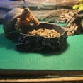 thumbnail image 4 of Reptile Carpet Terrarium Liner Bedding Reptile Substrate Mat Tank Accessories for Bearded Dragon Snake Lizard Tortoise Leopard Gecko, 4 of 7