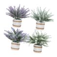 thumbnail image 1 of 4 Piezas de Plantas Artificiales Macarena Bonsái para Dormitorio Mesa de Café Interior Estilo B, 1 of 8