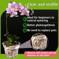 thumbnail image 4 of Fabulas Orchid Pot, 9 Pack Clear Orchid Pots with Holes, 3 Each of 4.8, 5.7 and 6.4 Inch Plastic Orchid Pots for Repotting, Breathable Slotted Orchids Planter, Flower Plant Pot Indoor Outdoor, 4 of 6