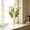 Artificial Ivy Leaves Under $5 a3, variant on Usloyux Artificial Ivy Leaves Stems, Green Fake Sweet Potato Vine Plants for Home Flower Arrangement Decoration, Artificial Greenery Foliage for Window Display Living Room Office Shelf Decor