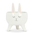 thumbnail image 1 of Jardinière pour Lapin, 1 of 2