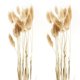 thumbnail image 1 of 100 Piezas Flores Secas de Color Crudo Natural Ramo de Flores Reales, 1 of 6