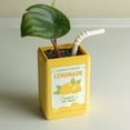 thumbnail image 4 of Dserhfy Lovely Juice Box Flower Pot Creative Resin Ornament Indoor Green Plant Planter Desktop Decoration for Home Garden Living Room Bedroom Office Cafe, 4 of 8