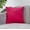 ZT111-25 fushia 20''x20'' (Without Inserts), variant on Square 20''x20'' Pack of 2 Velvet Solid Colors throw Pillow (With or Without Inserts)