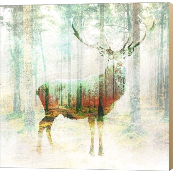 Lord of the Woods (detail) by Arlo Wren Photos, Canvas Wall Art, 12W x 12H