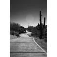 thumbnail image 2 of Art.com Cart Path on Desert Golf Course Arizona Photo, 16" x 24", 2 of 4