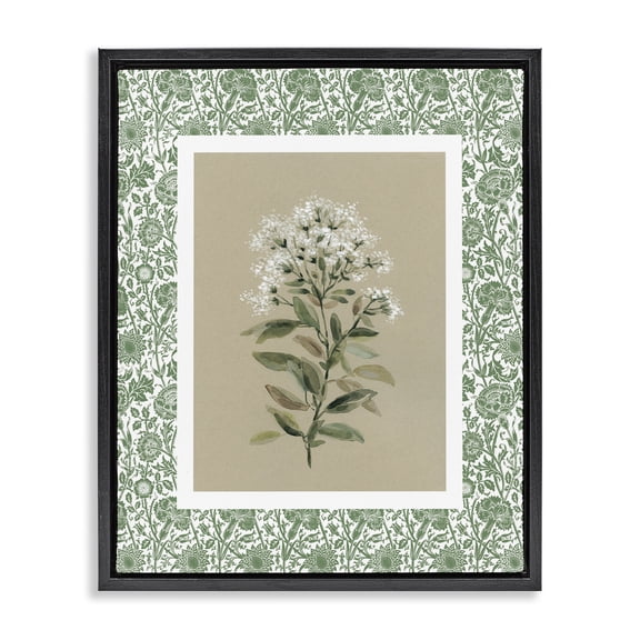 Stupell Industries Plant on Green Botanicals Black Framed Floater Canvas Wall Art, design by Carol Robinson
