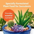 thumbnail image 4 of Miracle-Gro Succulent Plant Food - Liquid Fertilizer for Succulents and Cacti including Jade and Aloe, Feed Every 2 Weeks - 8 fl. oz. (2 Pack), 4 of 5