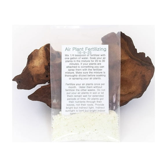 Grow More Air Plant Fertilizer - Tillandsia Fertilizer 16-9-25 - 1 Year Supply/12 Gallons - Great for Tillandsia & Bromeliads - Air Plant Food