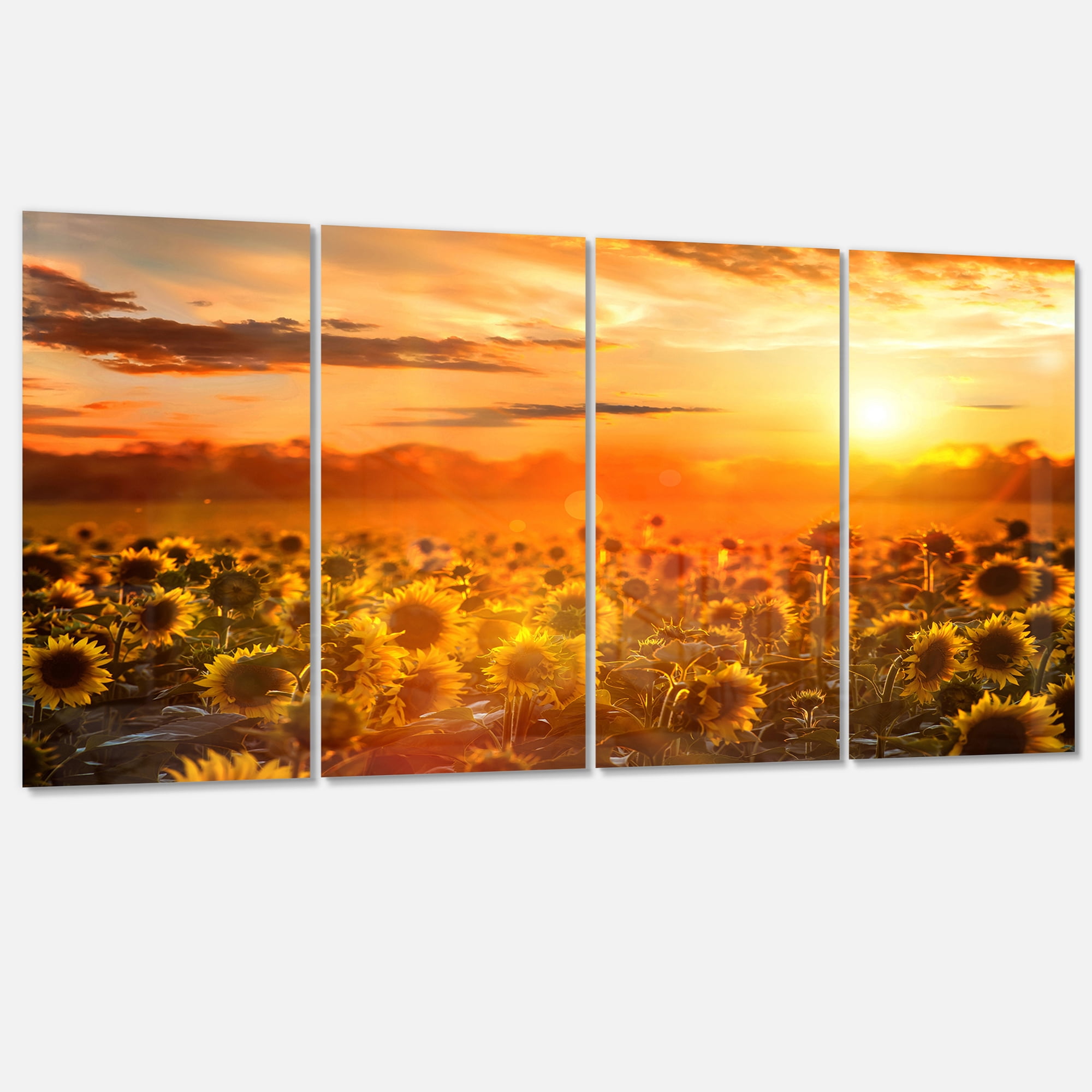 Designart 'Yellow Sunset over Sunflowers ' Floral Photography Art
